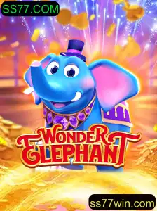 Explorando o Maravilhoso Mundo de WonderElephant